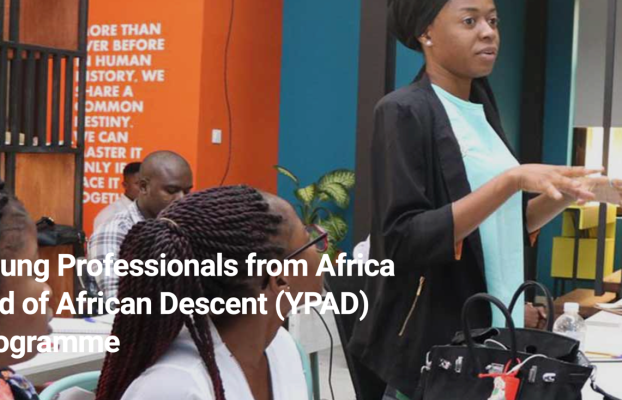 Young Professionals from Africa and of African Descent (YPAD) Programme