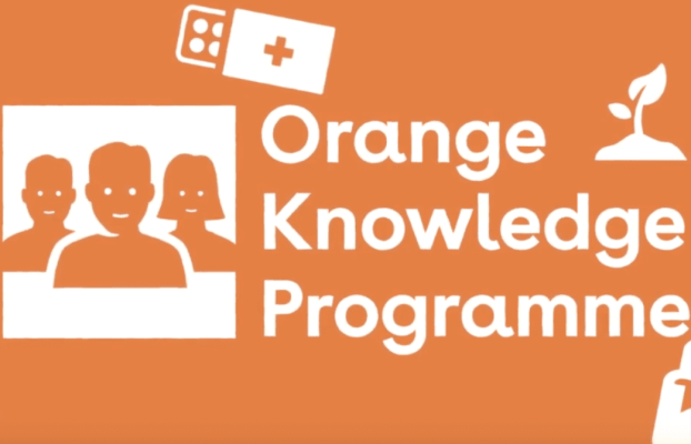 Nuffic Orange Knowledge Programme (Okp) Scholarships 2022/2023 For Mid-Career Professionals to Study In The Netherlands (Fully Funded)