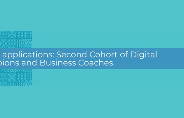 Digital Opportunity Trust (DOT) Rwanda Second Cohort of Digital Champions and Business Coaches.