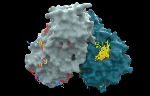 AI drives quest for new antivirals to fight outbreaks