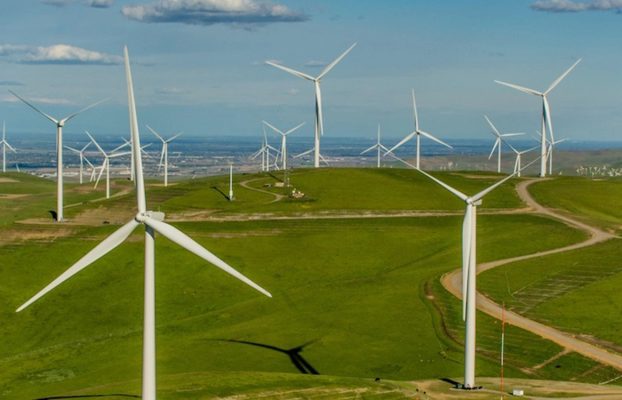 While venture cools down around the world, climate startups are blazing hot