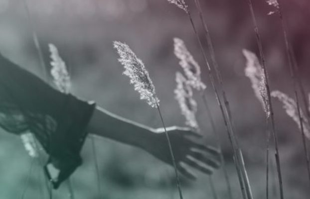 Female-led African startups invited to apply for HerMeNow accelerator