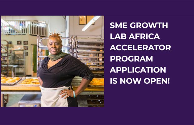 SME Growth Lab Africa Digital Accelerator Program 2023 For African SME’s